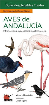 AVES DE ANDALUCIA GUIAS DESPLEGABLES TUNDRA - 9788419624093
